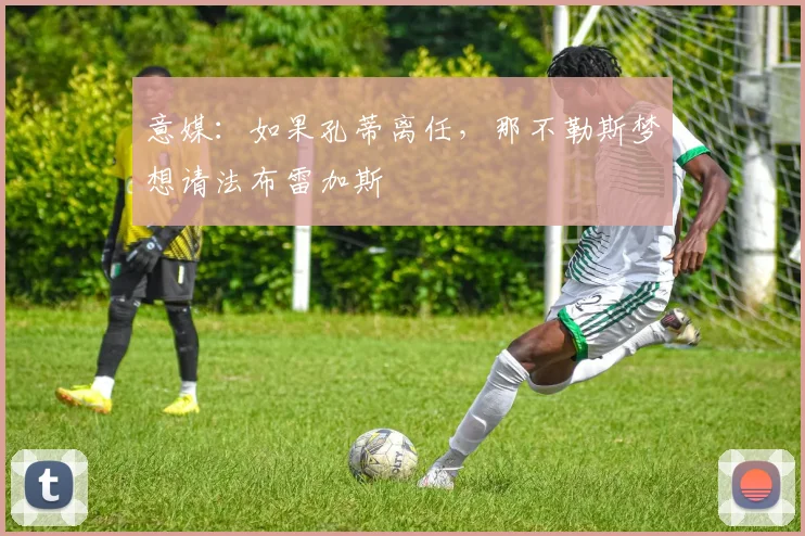 意媒：如果孔蒂离任，那不勒斯梦想请法布雷加斯