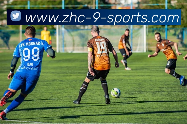 九游体育APP 封面图